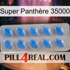 Super Panthère 35000 22